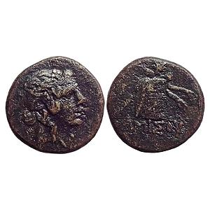 Ancient World Gambrion Turkey Bronze Unit