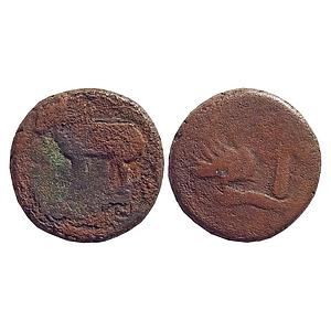 Ancient, South Kosala, Mitras of Ayodhya, Copper Unit