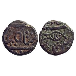 IPS Bindraban State INO Shah Alam II Shahjahanabad Mint Copper Paisa