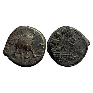 Ancient Satavahanas Newase Elephant type Copper heavy Unit