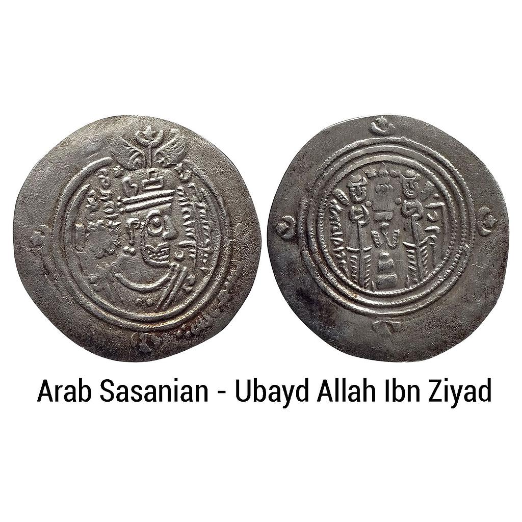 Arab Sasanian Coinage Ubayd Allah Ibn Ziyad BCLA Basr Mint Silver Dirham
