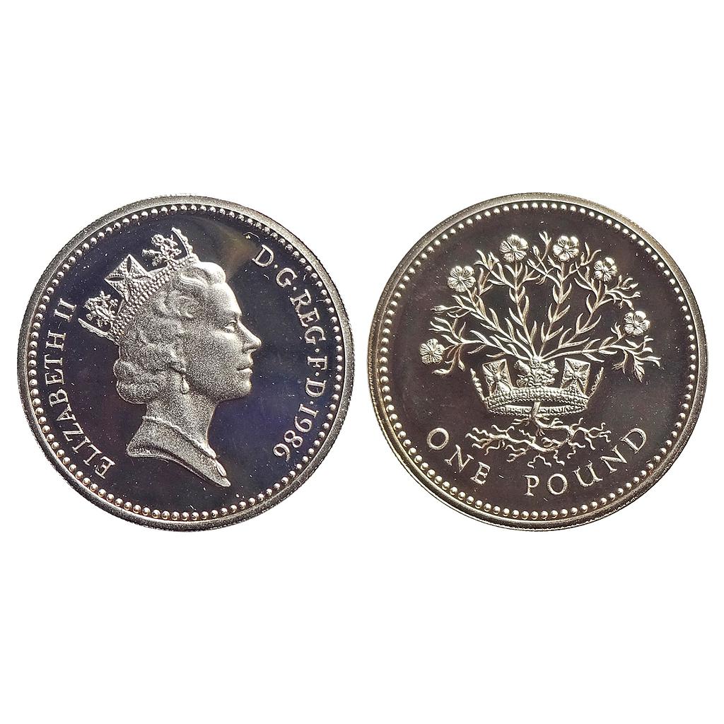 United Kingdom, Elizabeth II, Silver Proof 1 Pound Piedfort