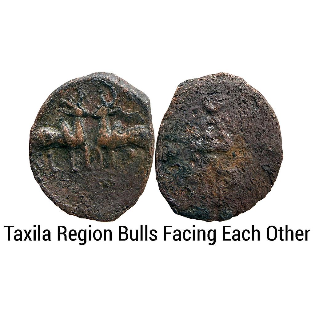 Ancient Post Mauryan Taxila Region Facing Bulls Type Copper Unit