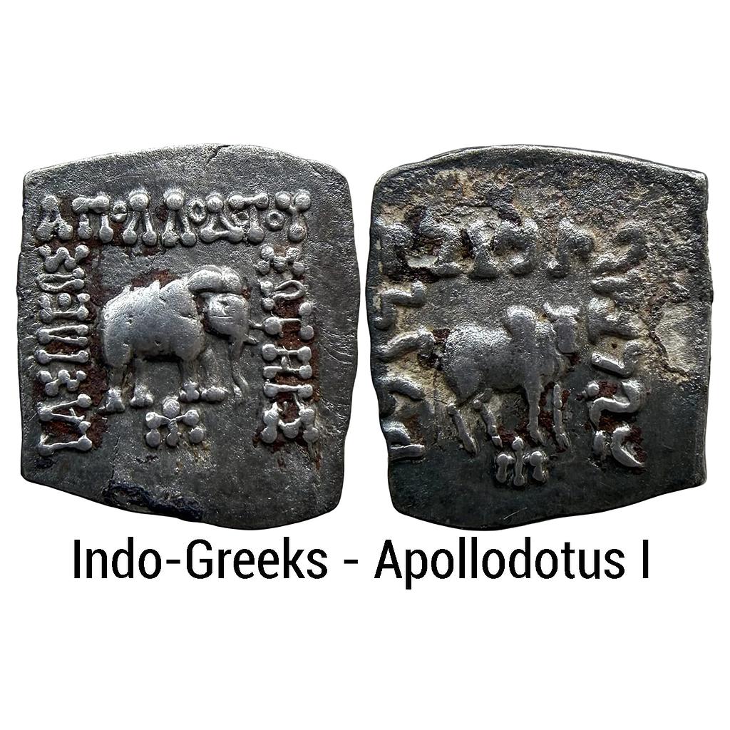 Ancient Indo-Greeks Apollodotus I Silver Drachm Indian Standard