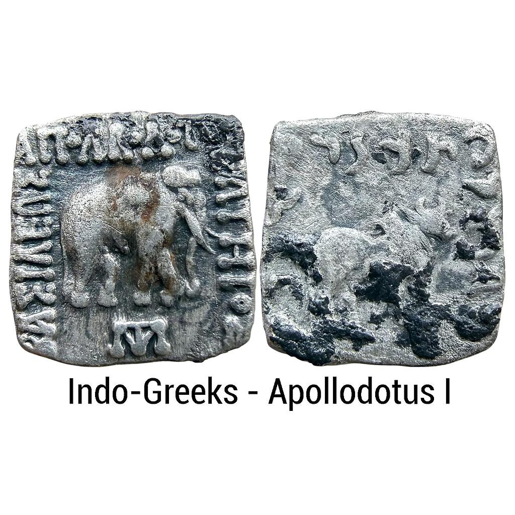 Ancient Indo-Greeks Apollodotus I Silver Drachm Indian Standard
