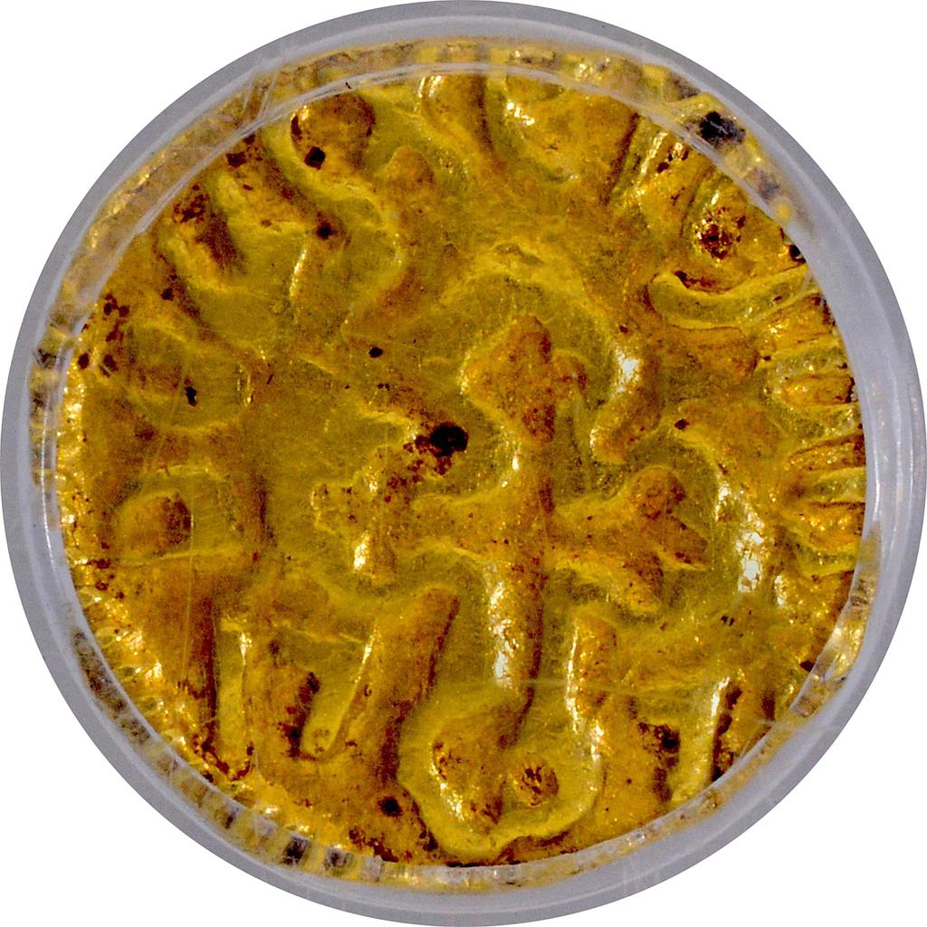 Indo Portuguese Goa D. Jose 1775 AD Gold 2 Xerafins