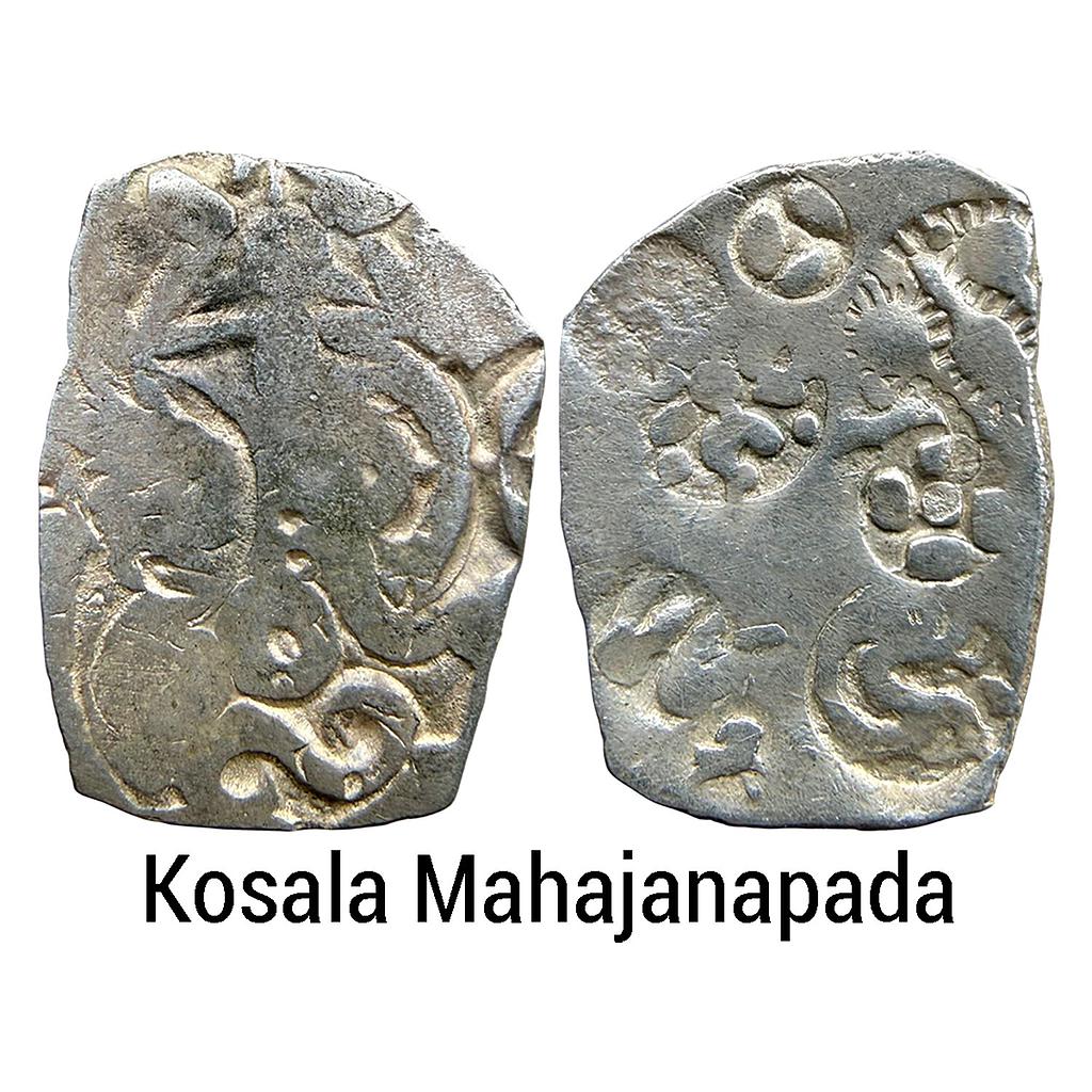 Ancient Punch Marked Coinage Kosala Mahajanapada Silver 1/2 Vimshatika
