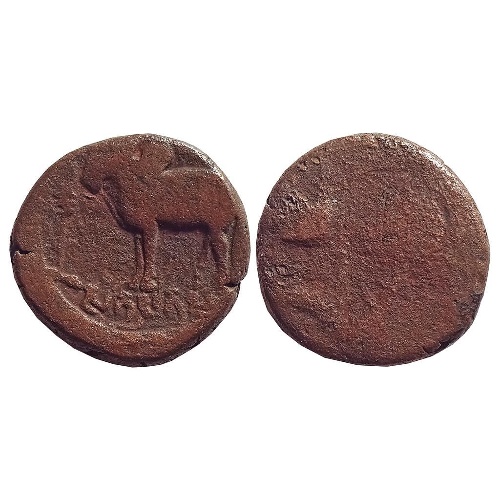 Ancient, South Kosala, Mitras of Ayodhya, Satyamitra, Copper Unit